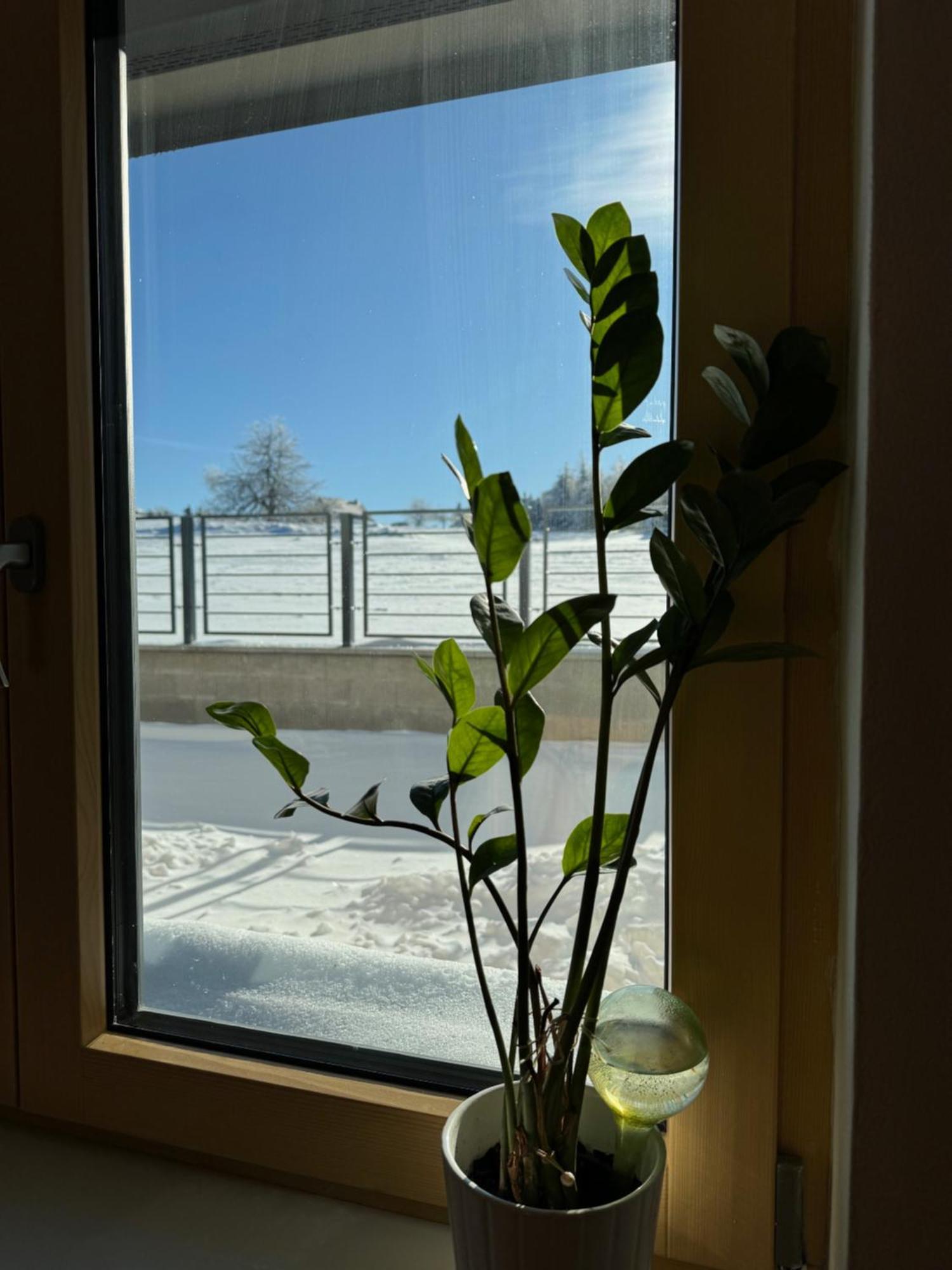 Penzion Stara Posta Dubí Exterior foto